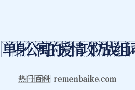 单身公寓的爱情攻防战组词是什么意思的图片